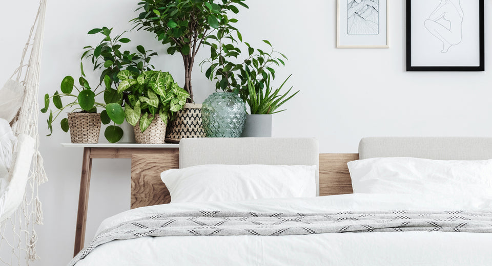 bed with plants