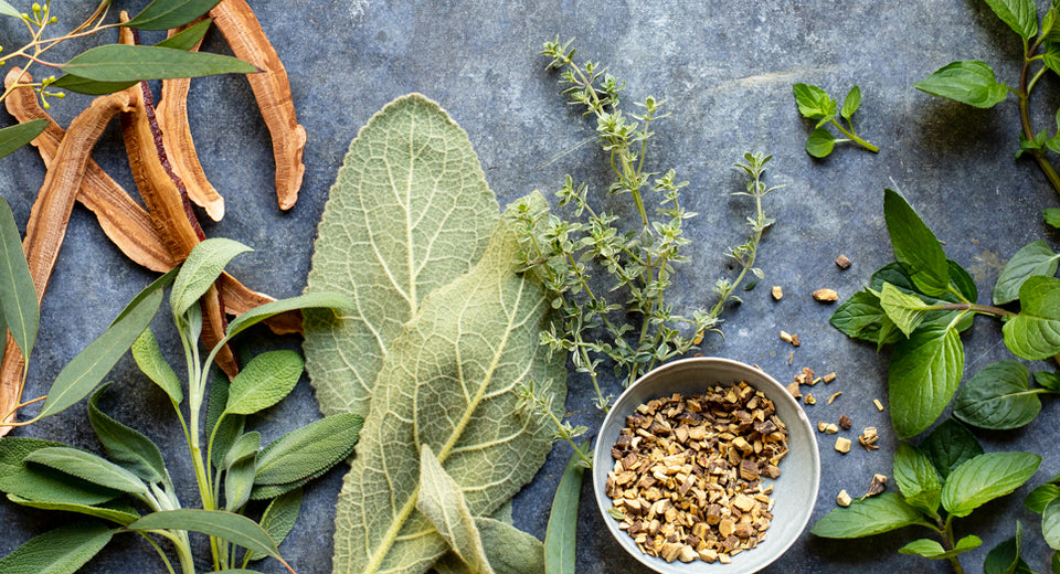 Herbs & The Respiratory System