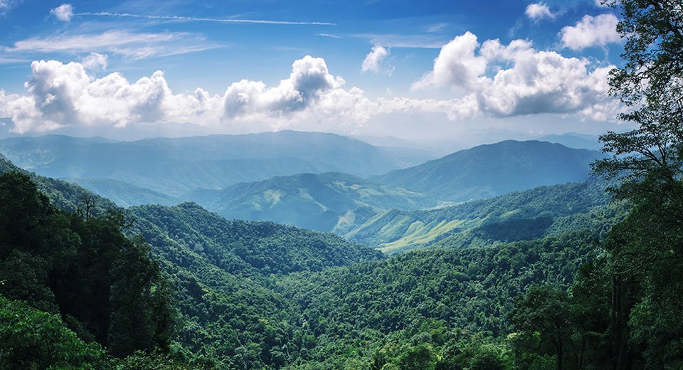 Landscape with mountains