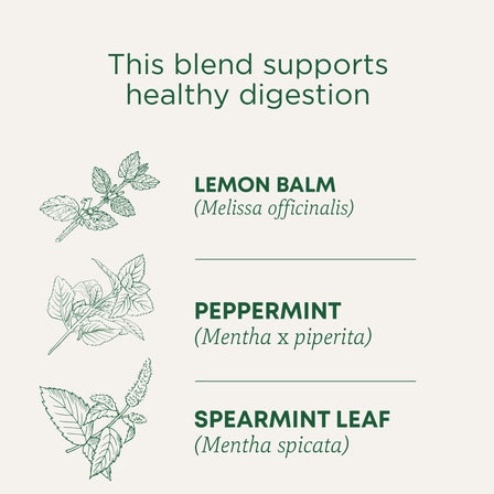 Triple Mint Daily Probiotic Tea - This blend support healthy digestion. Lemon Balm (Melissa officinalis); Pappermint (Mentha x piperita); Spearmint Lea (Mentha spicata)