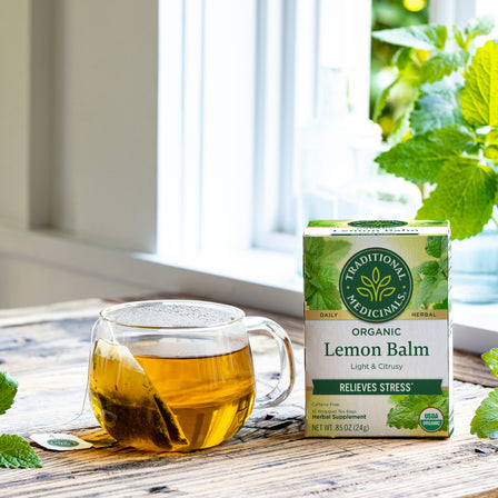 A box of Lemon Ginger Tea, known for its comforting digestive benefits, rests beside a glass mug on a wooden table by the window, enveloped by vibrant green leaves.