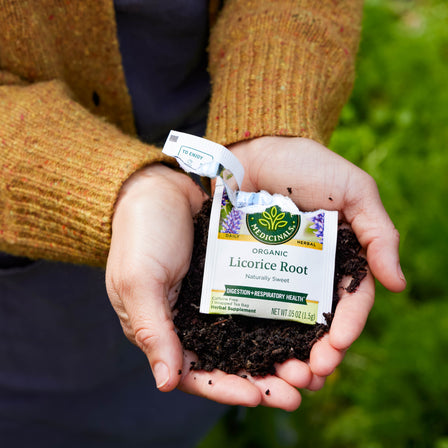 With hands gently holding rich soil, a packet of Licorice Root Tea promises to nourish your soul while also supporting your digestive health.