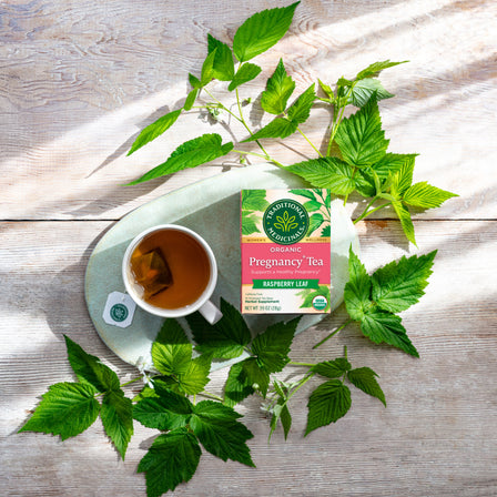 A cup of tea with a box of Pregnancy® Tea, surrounded by lush green raspberry leaves on a wooden table—perfect for supporting a healthy pregnancy.